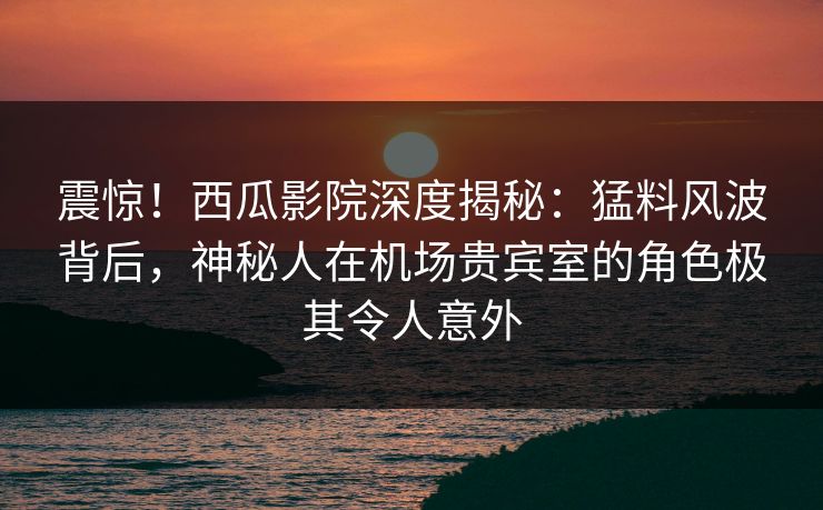 震惊！西瓜影院深度揭秘：猛料风波背后，神秘人在机场贵宾室的角色极其令人意外