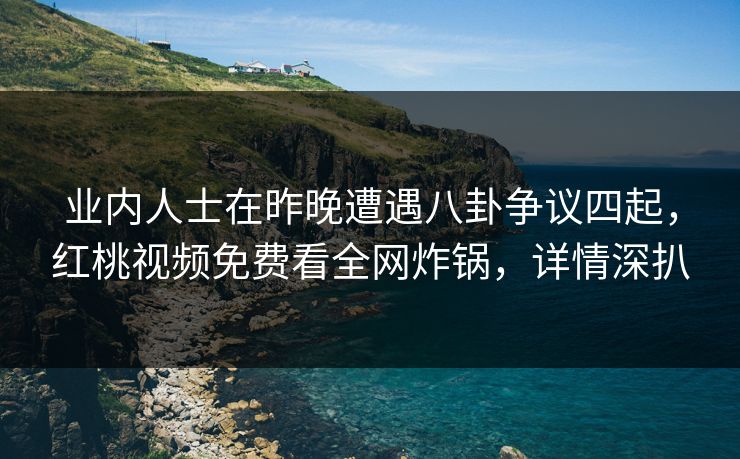 业内人士在昨晚遭遇八卦争议四起，红桃视频免费看全网炸锅，详情深扒