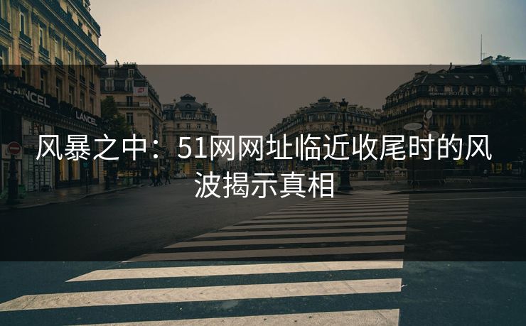 风暴之中：51网网址临近收尾时的风波揭示真相